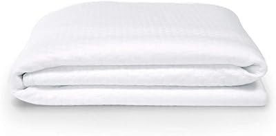 Lull Full Size Mattress Protector | Mattress Cover | Extra Soft Waterproof Mattress Protector | Stain Resistant, Machine Washable & Whisper Quiet Bed Protector with 100 Night Trial